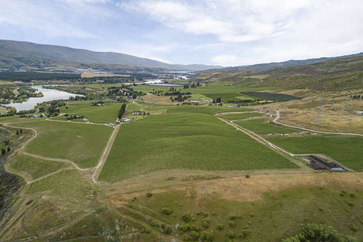 Cairnmuir Road Nevis_15