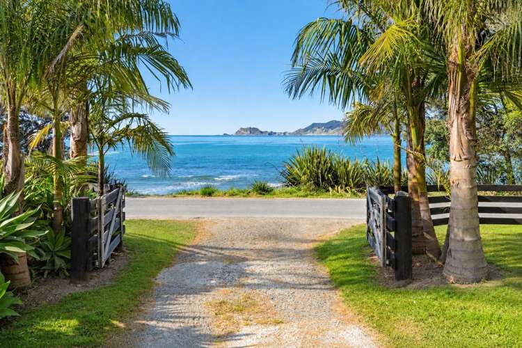 165 Beach Road Tokomaru Bay_29