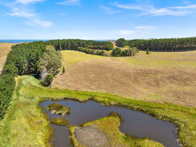 1415 Babylon Coast Road Dargaville_19