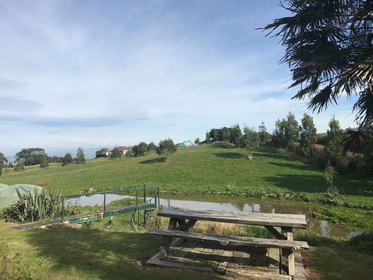 313 Green Island Bush Road Waldronville_14