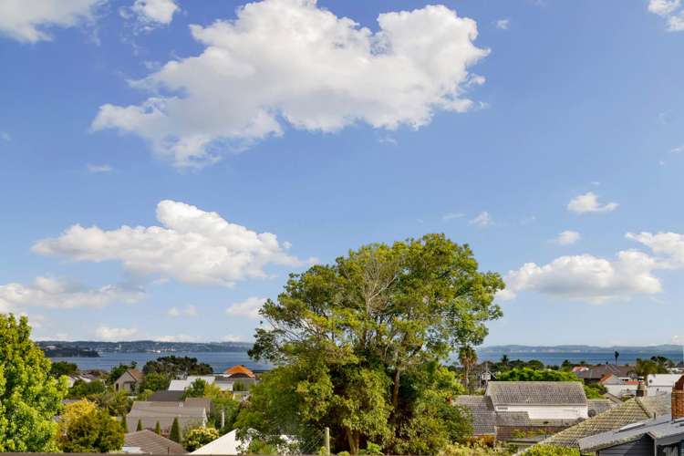 9b Tarawera Terrace Saint Heliers_14