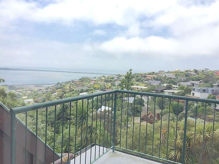 135 Mt Pleasant Road Mount Pleasant_8