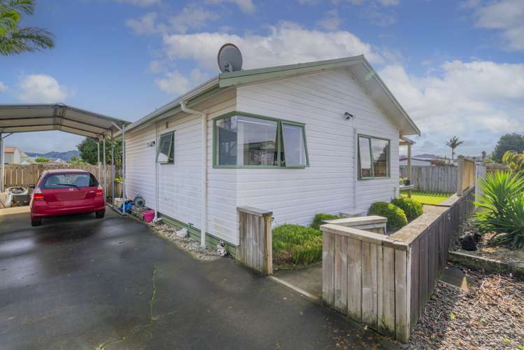 39 Whitby Avenue Whitianga_9