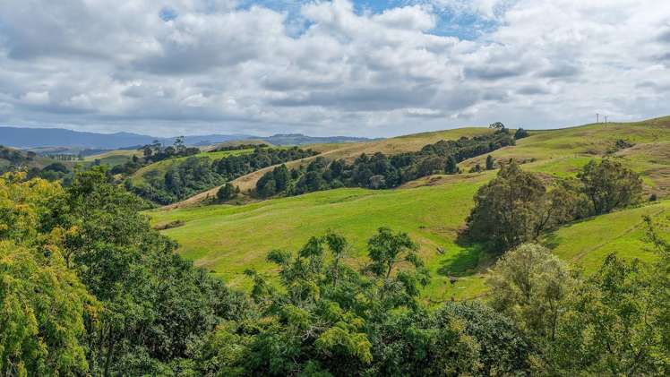 528 Monument Road Maramarua_18