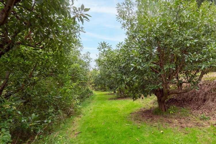 36A Crawford Road Te Puna_25