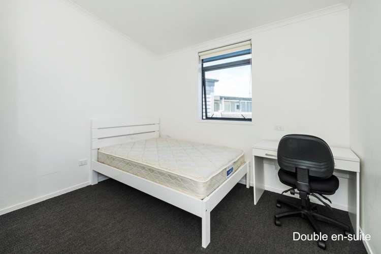 14 Shirley Road Grey Lynn_24