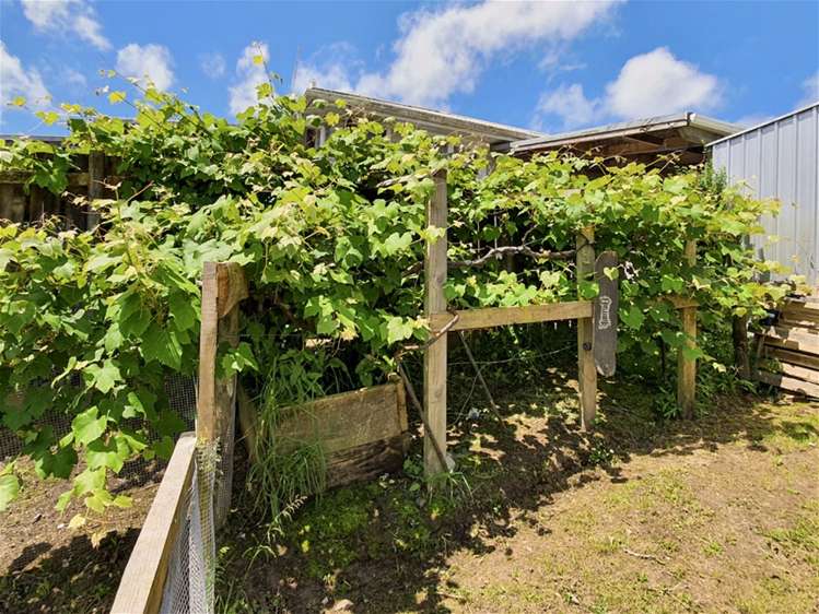 8 Smeath Road Kawakawa_20