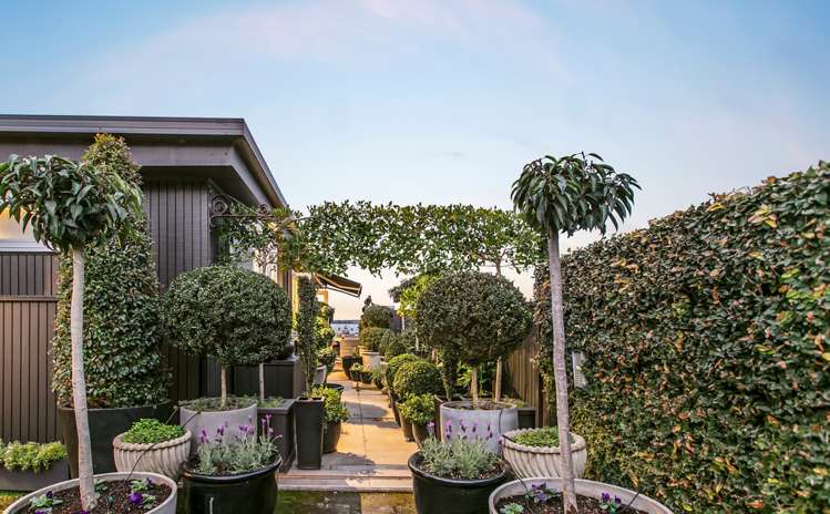 10/99 Shelly Beach Road Saint Marys Bay_13