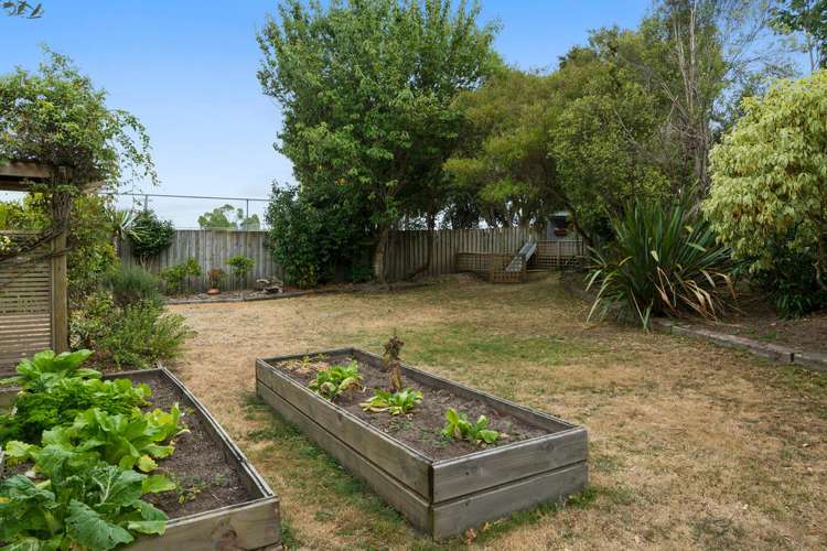 14 Suffolk Close Papamoa_9