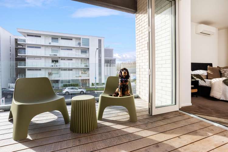 101/64 Surrey Crescent Grey Lynn_1