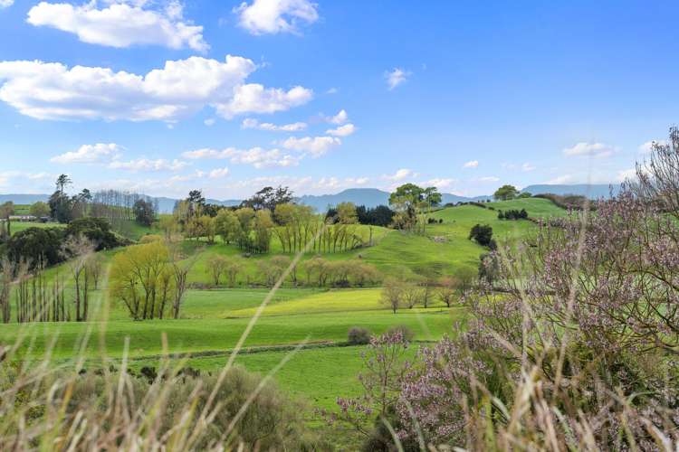 311 Bell Road Morrinsville_27