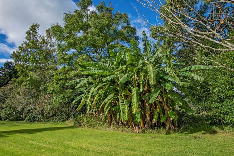 1272 Pipiwai Road Ruatangata_27