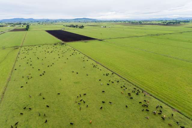 1477D Piako Road Morrinsville_1