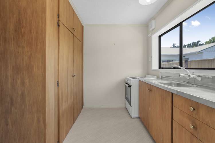 37b Heretaunga Street Petone_7