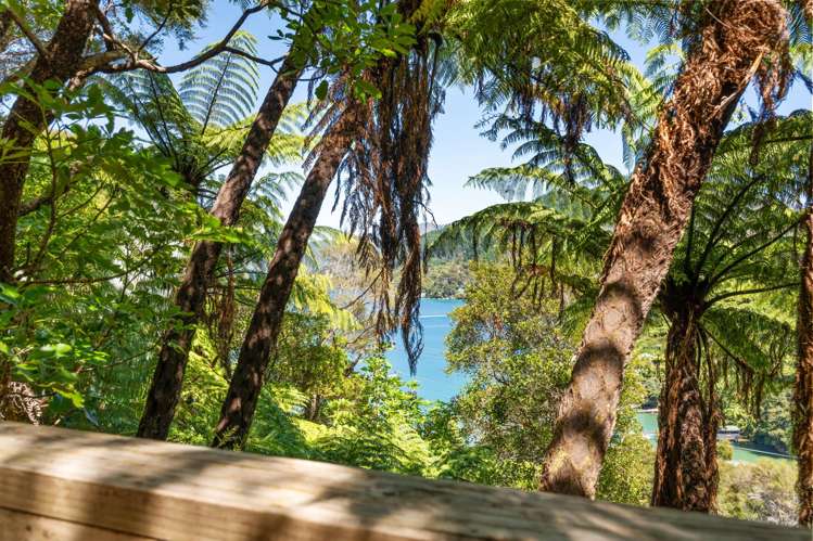 Lot Lot 2/- Karamau Bay Lochmara Bay_13