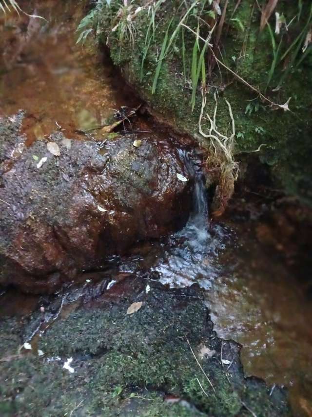 41 Pinehill Road Pakaraka_4