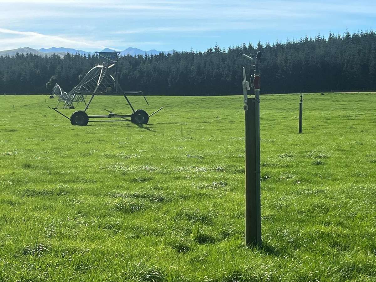 108 Klondyke Terrace_5