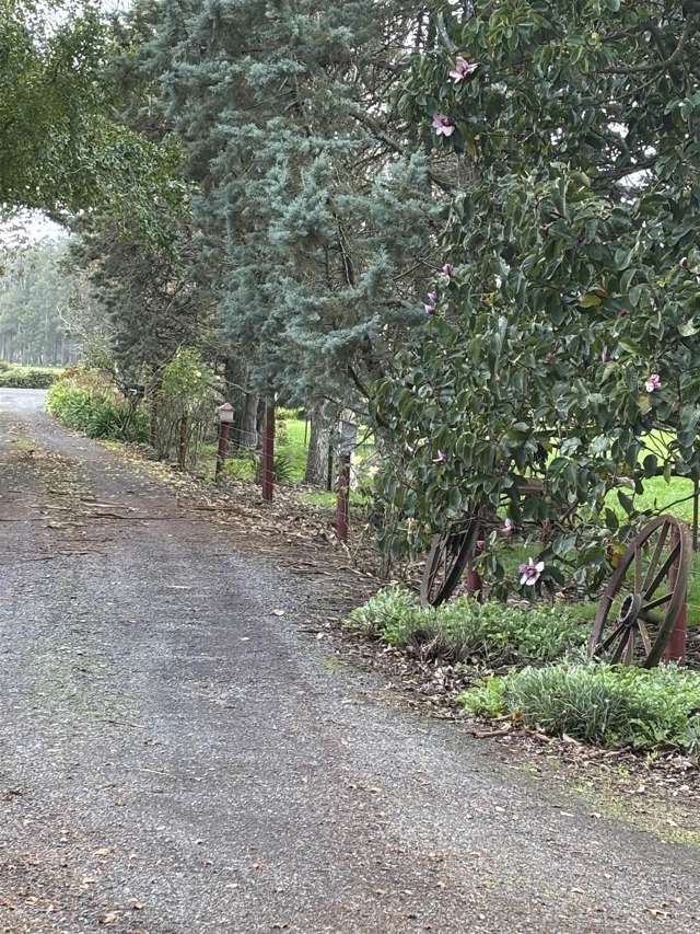 6520B Wilson Road Netherton_3