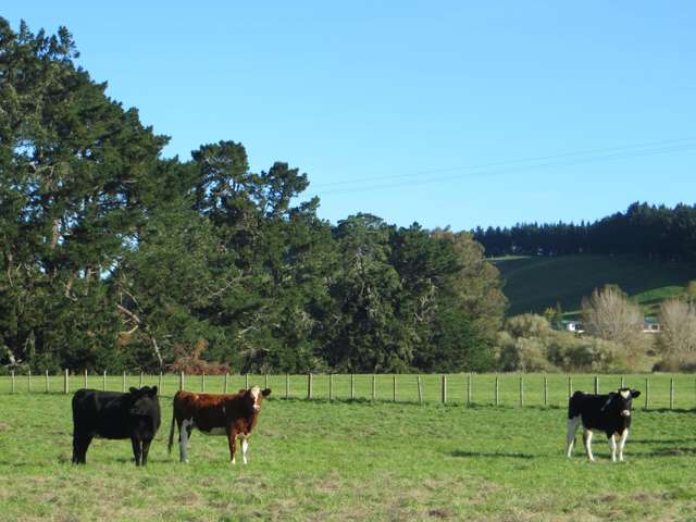 3245 State Highway 2 Takapau_2