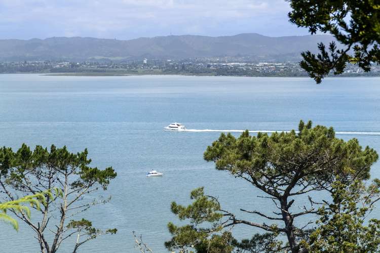 76 Island Bay Road Beach Haven_8