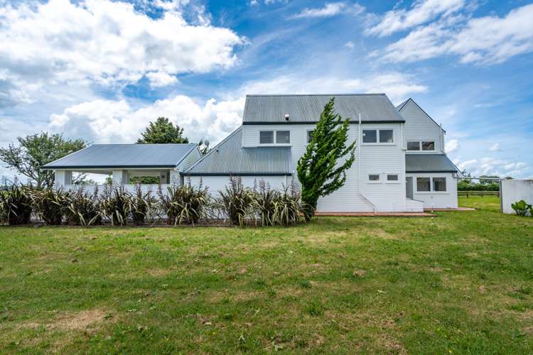 55 Boyd Road Gordonton_6