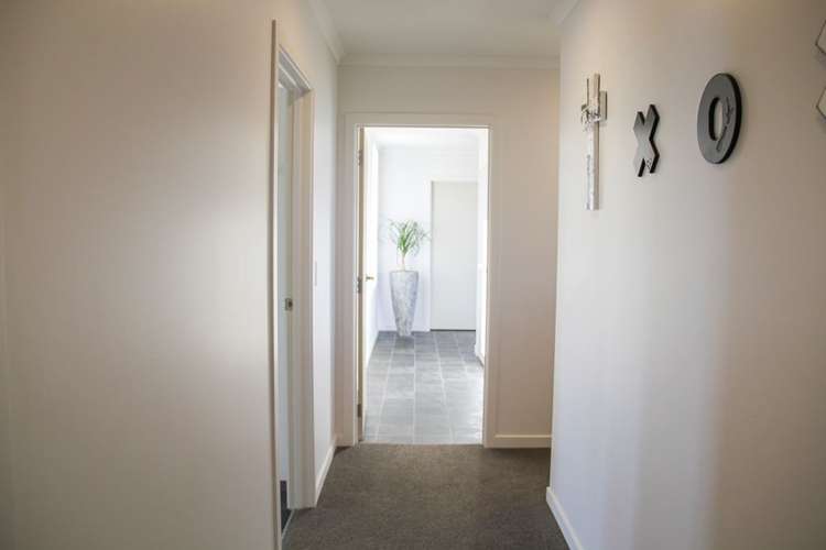 228e Roslyn Road Roslyn Bush_16