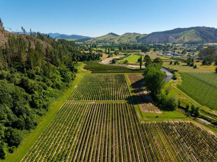 160 Tadmor Valley Road Tapawera_20