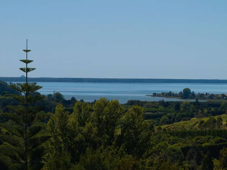 236 Willoughby Road Tahawai_34