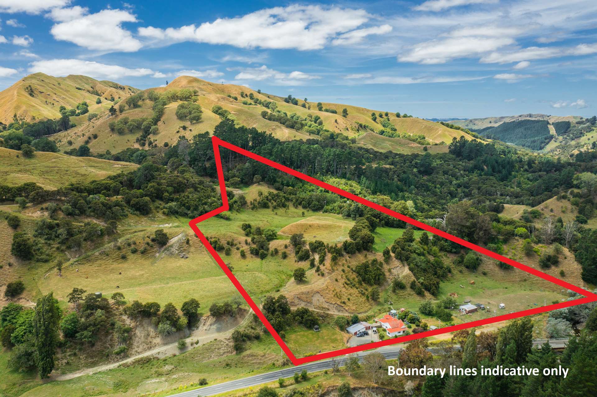 4574 Matawai Road Te Karaka_0