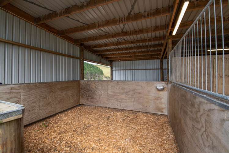 15a Slater Road South Head_35