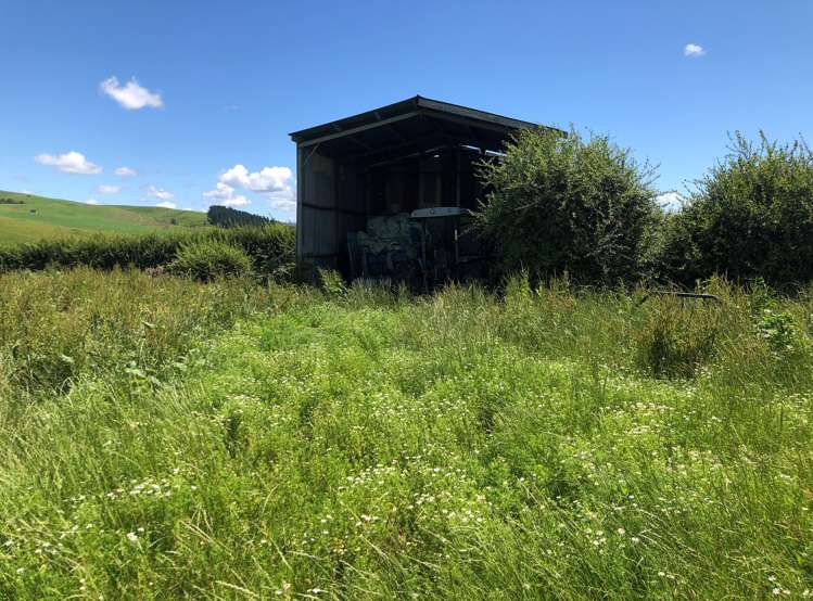 1564 State Highway 31 Kawhia Road Otorohanga_28