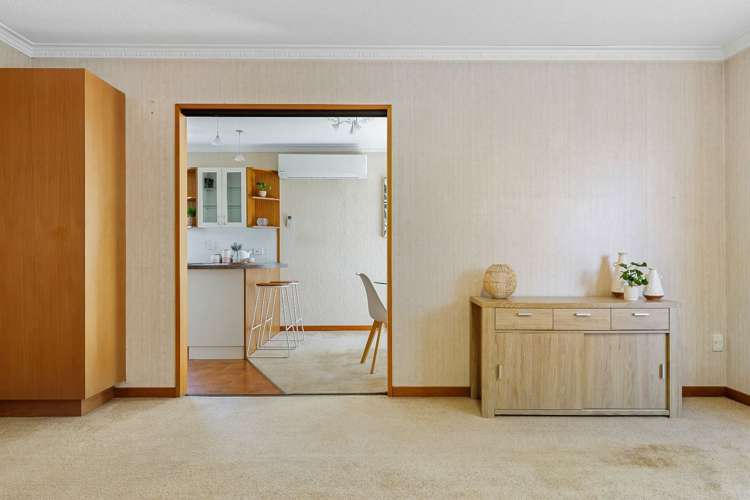 11b Winters Road Redwood_3