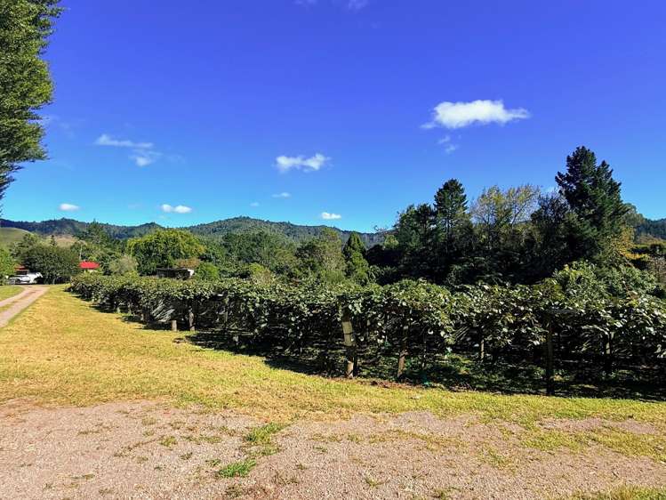 1164 No 3 Road Te Puke_30