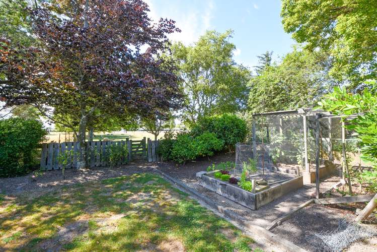 19 Taverner Street Carterton_15