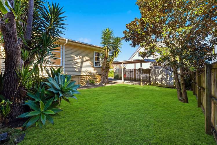 76A Gardner Avenue New Lynn_13