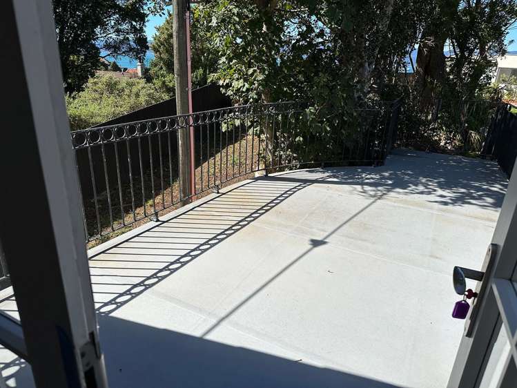 18 Lower Watt Street Wadestown_9