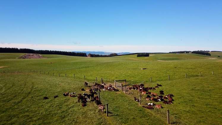 17 Tongue Road Balclutha_17