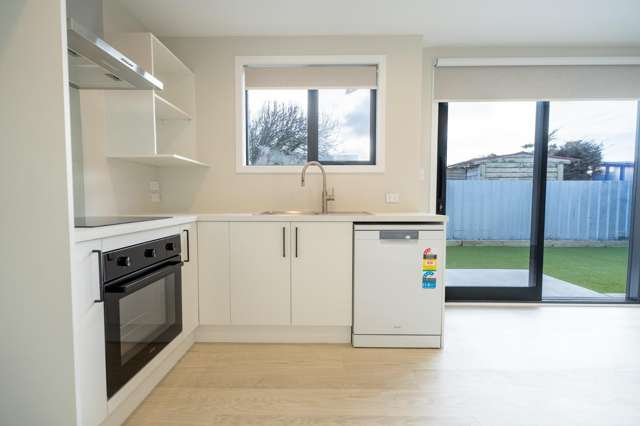 86B Hinau Street 1200_1