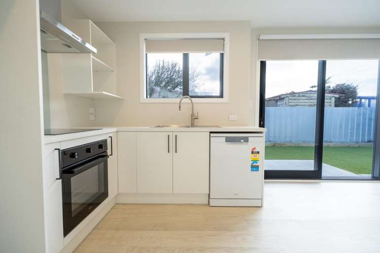 86B Hinau Street 1200_1