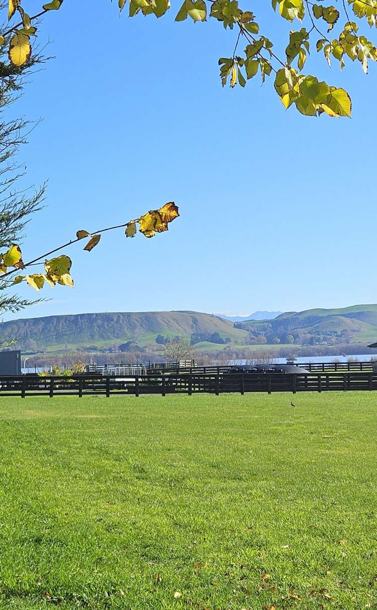 Lot 4 Whare Roto Drive Rd2, Waipukurau_1