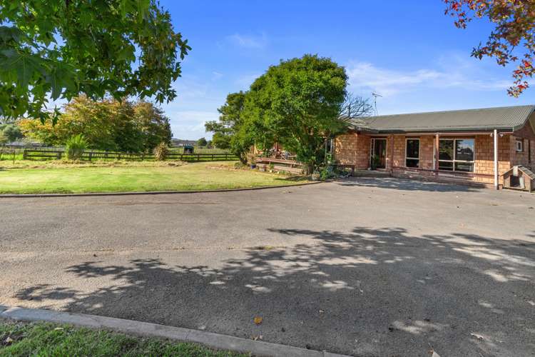 123 Travers Road Te Kauwhata_5