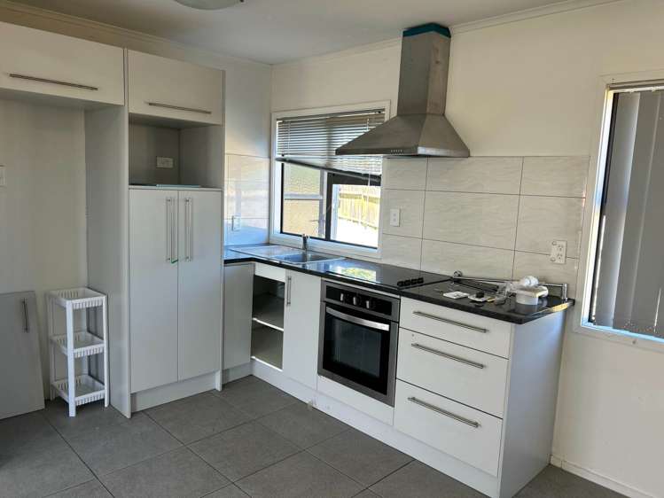 Matthews Road Flat Bush_6