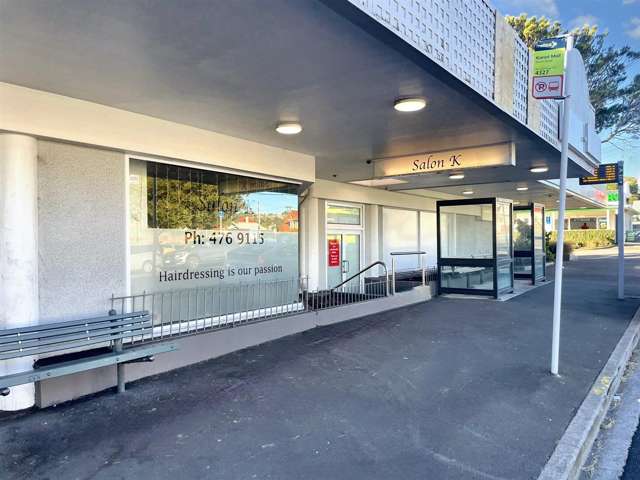 236-256 Karori Road Karori_1