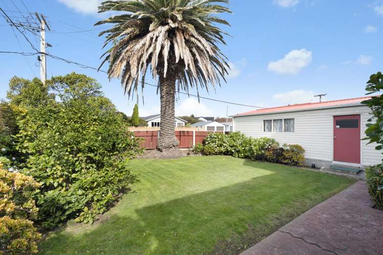 67 Devonshire Road Miramar_17
