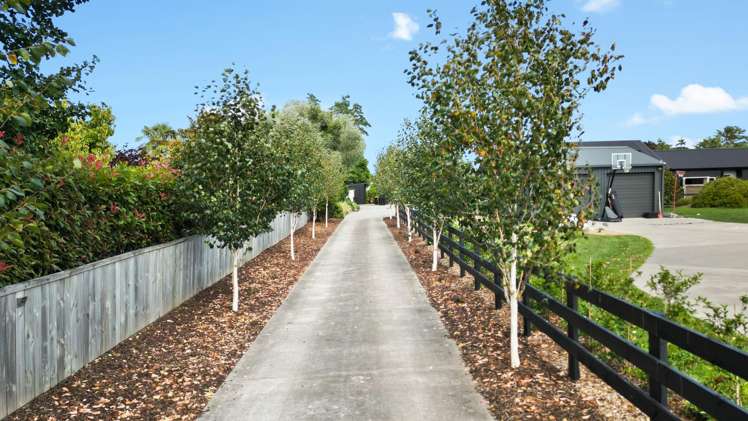 2/50 Roto O Rangi Road Cambridge_30