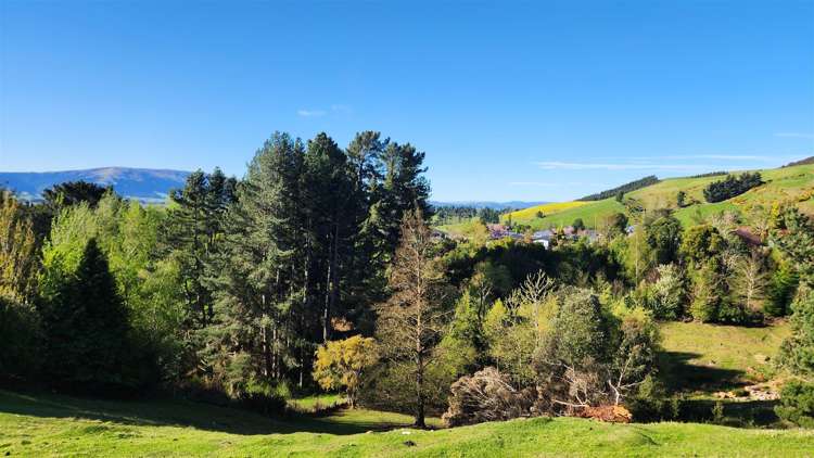 14 GULL STREET Waihola_5