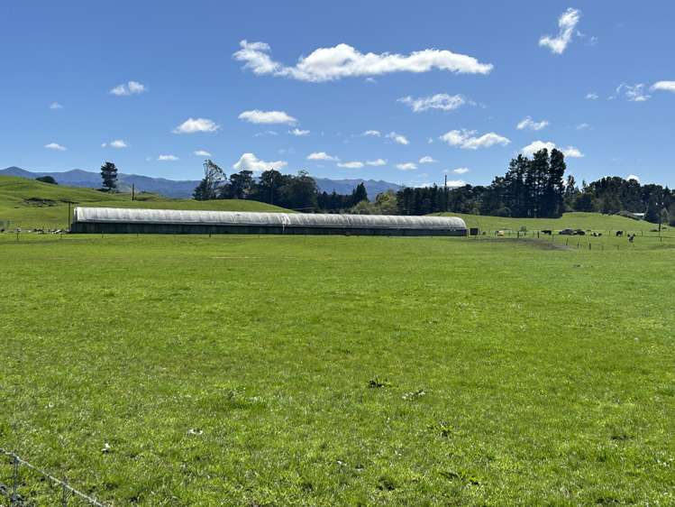 76412 State Highway 2 Rangitikei Surrounds_19