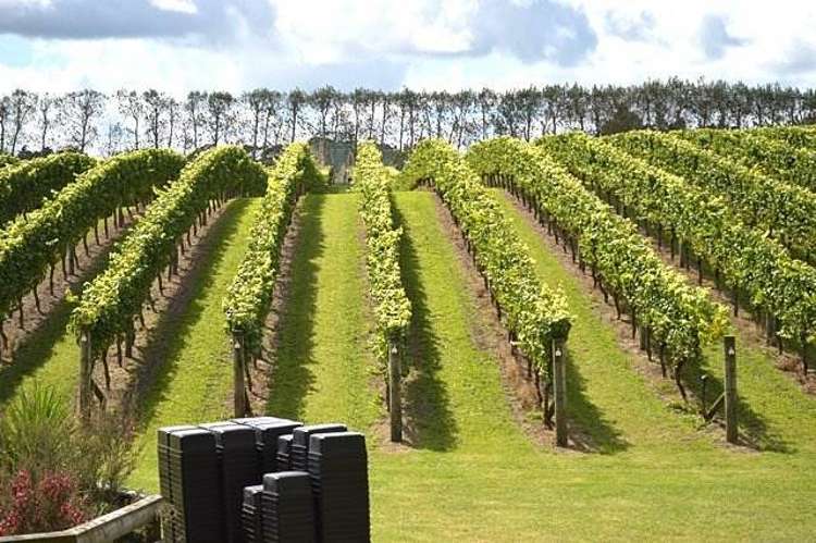 Address withheld Waitakere_8