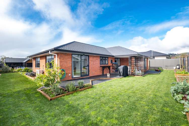 24 Grooby Place Havelock North_16
