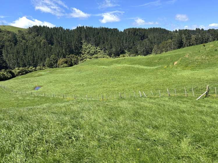 3/585 O'Shea Road Pirongia_16